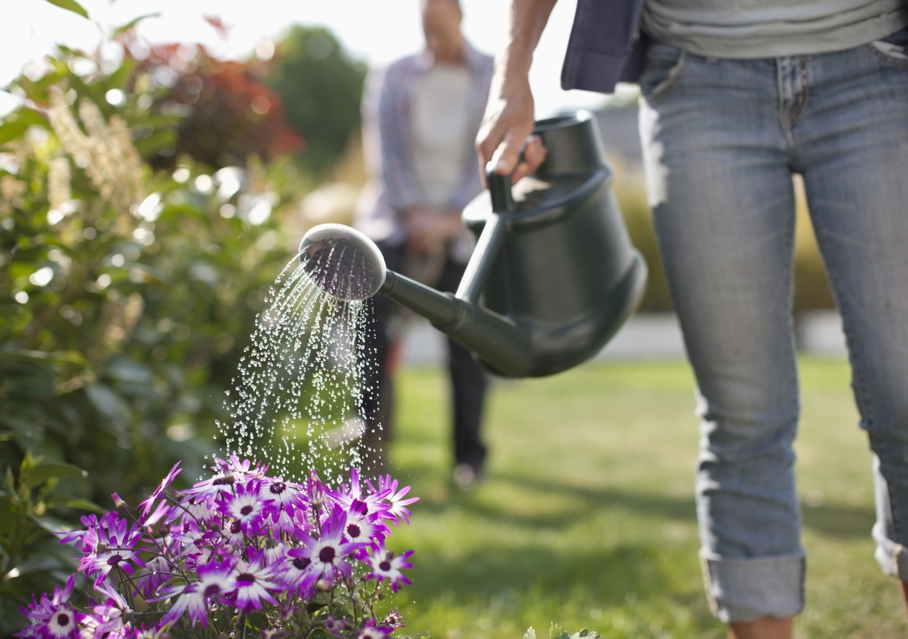 watering-instructions-rice-s-in-ne-ohio