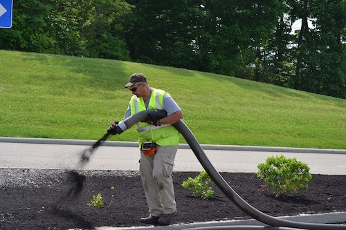 A blow in mulch operator lays a uniform blanket of mulch around shrubbery.