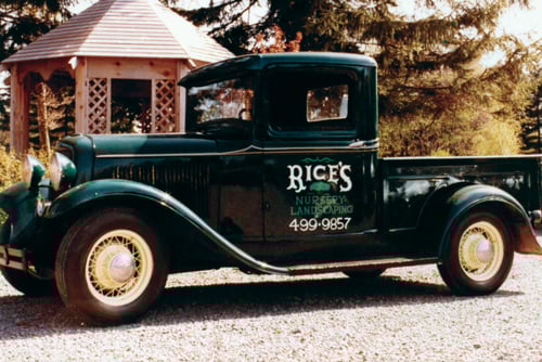 1980 Rice's truck