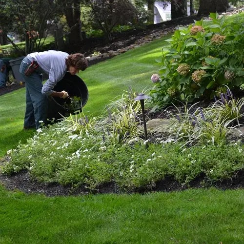 Bed Maintenance