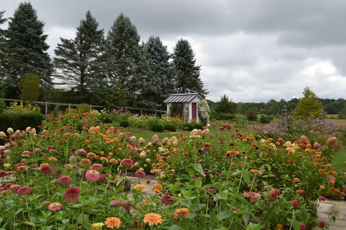 late summer garden plant colors