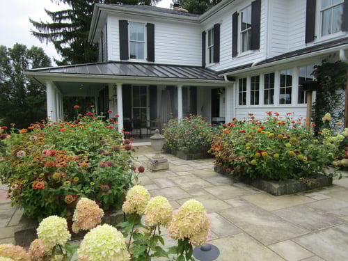 Brott Rice's seasonal flowers