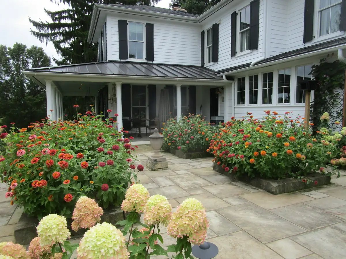 Brott Rice's seasonal flowers