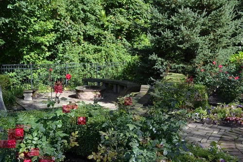 Landscaping from Rice's