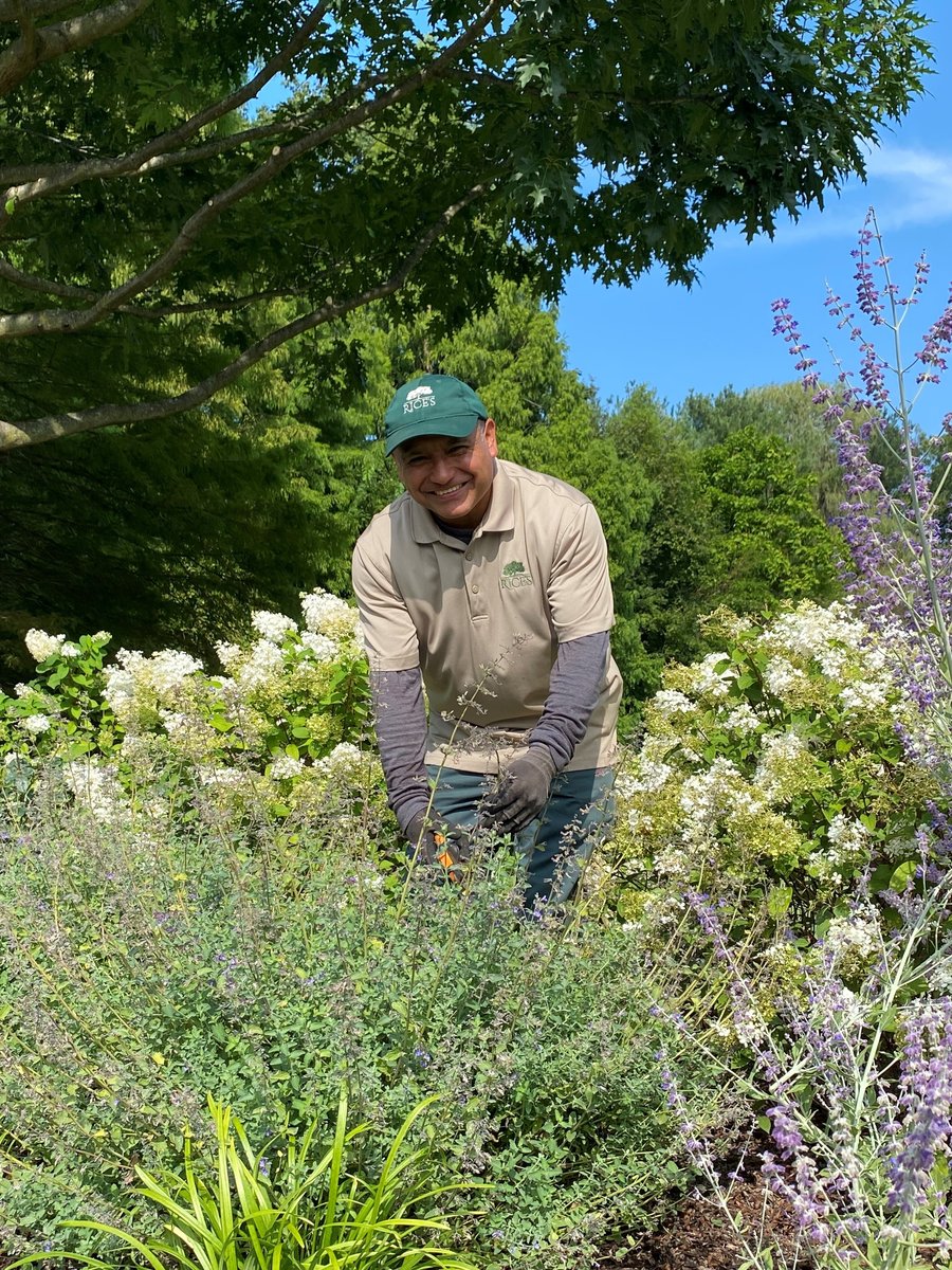 employee working on a landscaping project