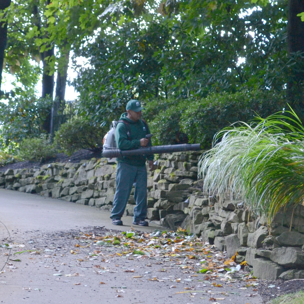FALL CLEANUP