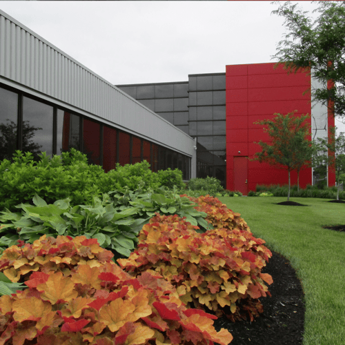 Improve your curb appeal