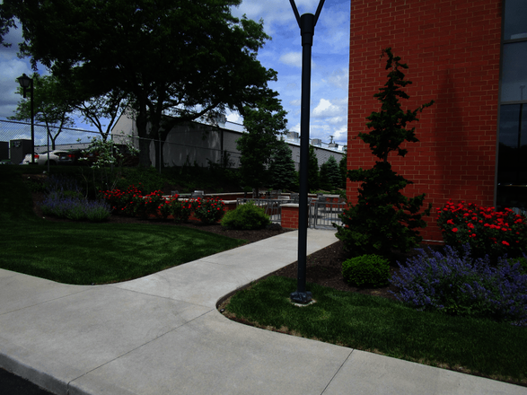 Landscaping around Campbell-Oil-Corporate Office