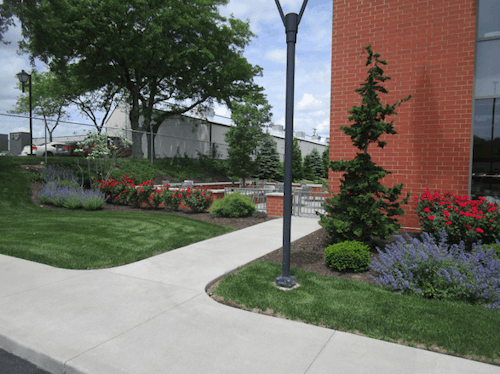 Landscaping around Campbell-Oil-Corporate Office