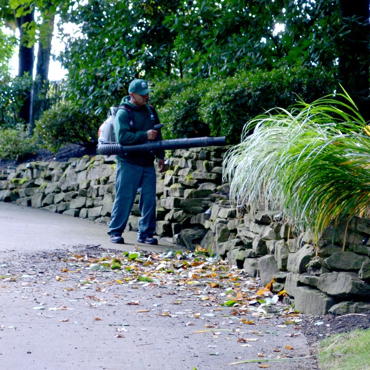 LeafCleanup