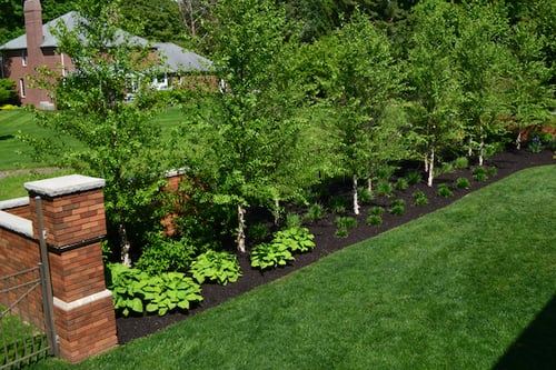 Modern Style Patio and Firepit privacy plants