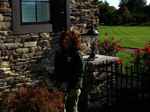 Paula pruning ELM