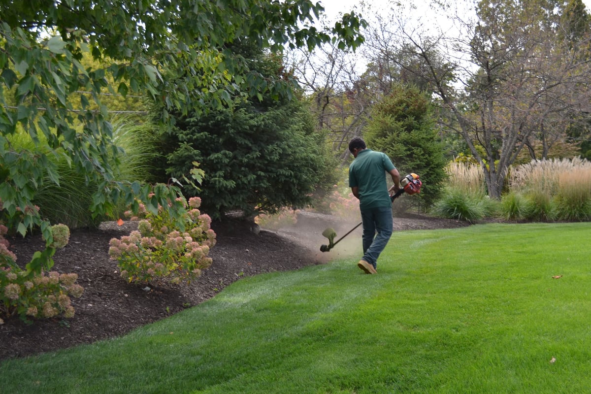 Rices-Residential-Landscaping-blog
