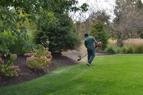 Rice's Landscapes residential landscaping project