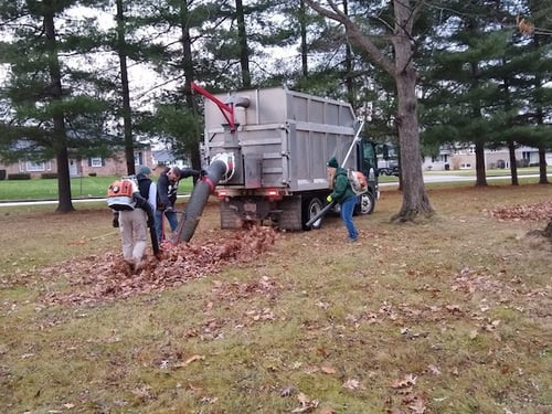 Annual Sancta Clara Monastery Fall Leaf Clean Up