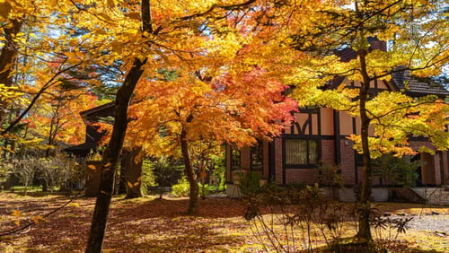 Top Fall Color Plants