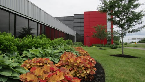 Seasonal landscaping outside of business for landscape management and commercial property maintenance.