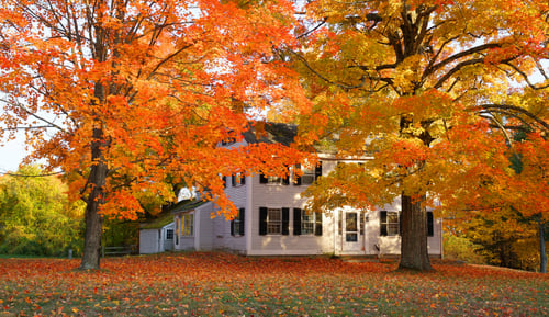 Year-Round Landscape Management 