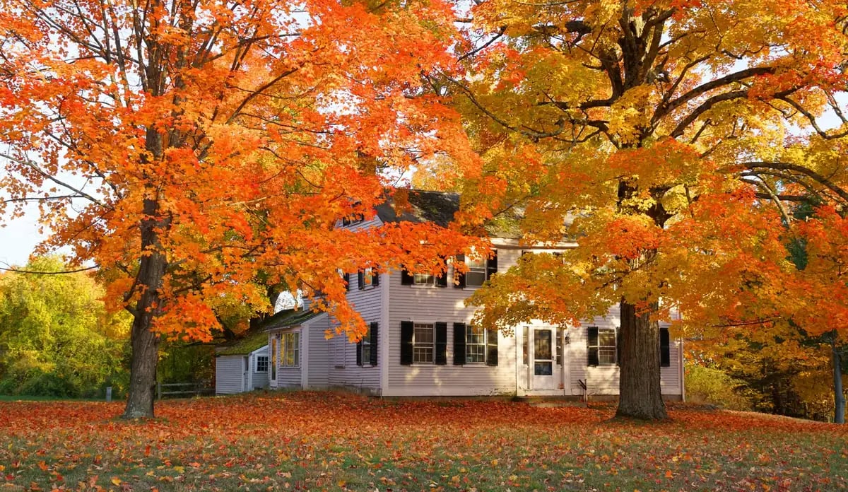 Year-Round Landscape Management 
