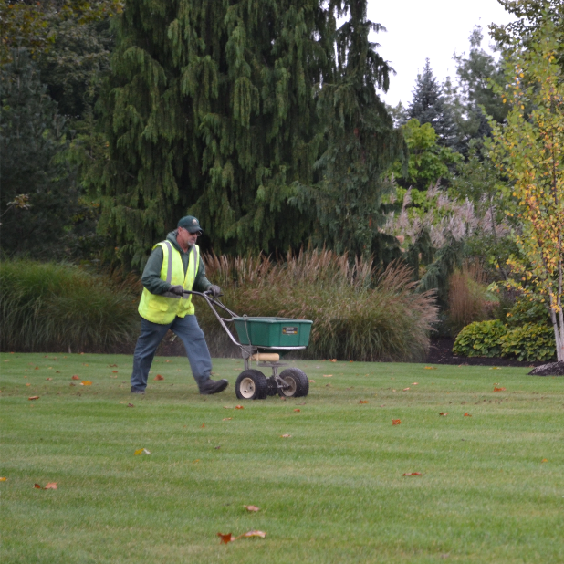 lawncare