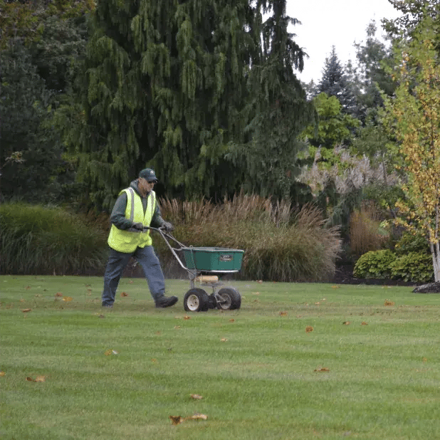 lawncare