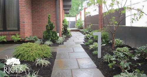Home with designed residential landscape services for a welcoming aesthetic.