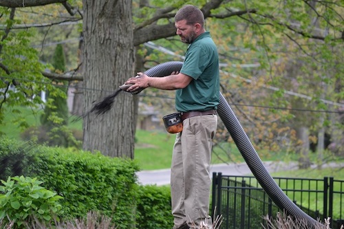 Mulch-Blowing-Installation-Process-Northeast-Ohio-2