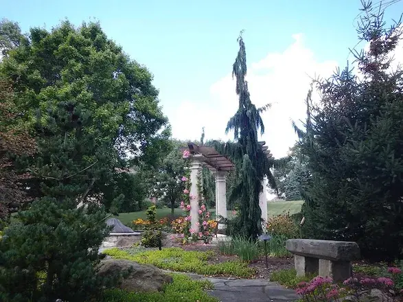 Structure landscape for Entertainment Area