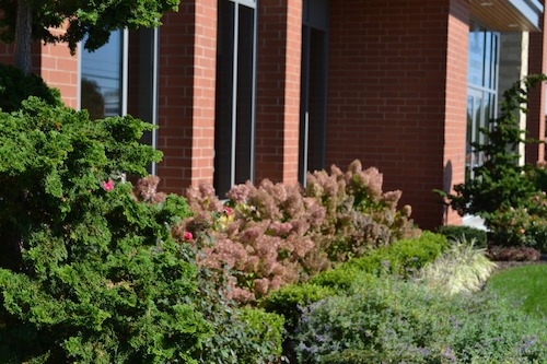 commercial-landscape-design-4-min-1