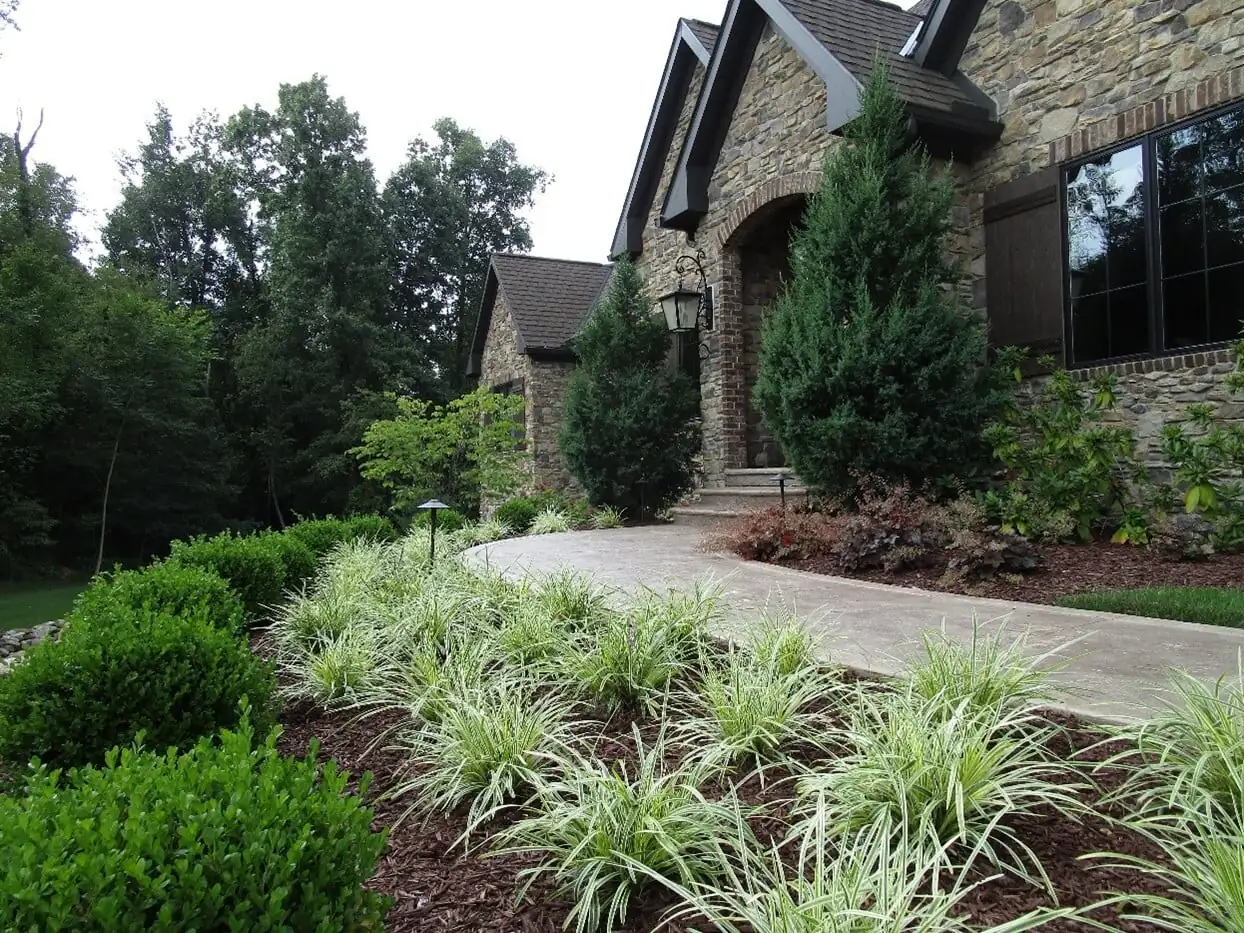 Rustic Retreat after landscape improvements