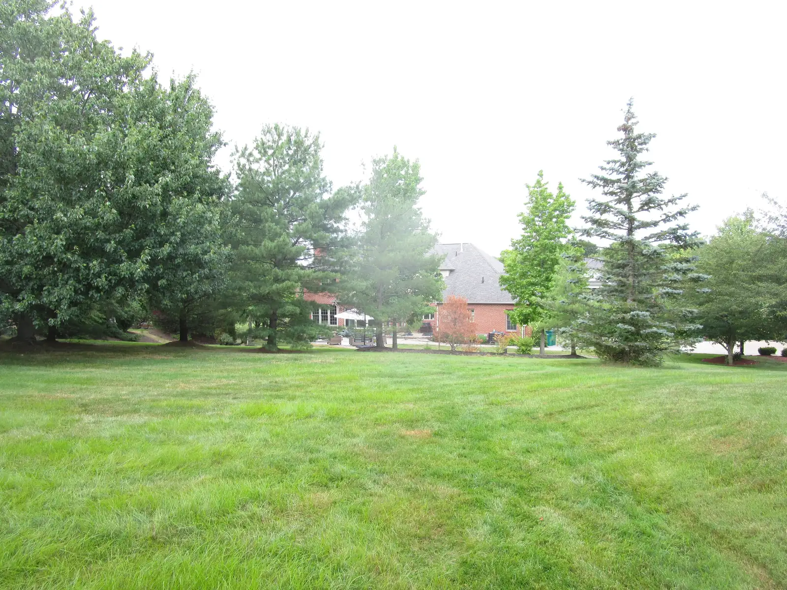 farah back property