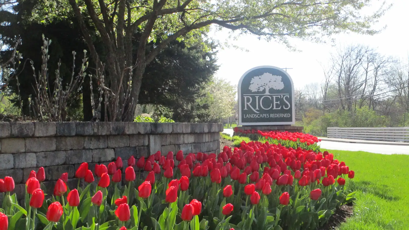 Rice's Landscapes team and company