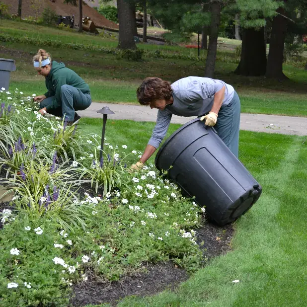 Spring landscape cleanup services